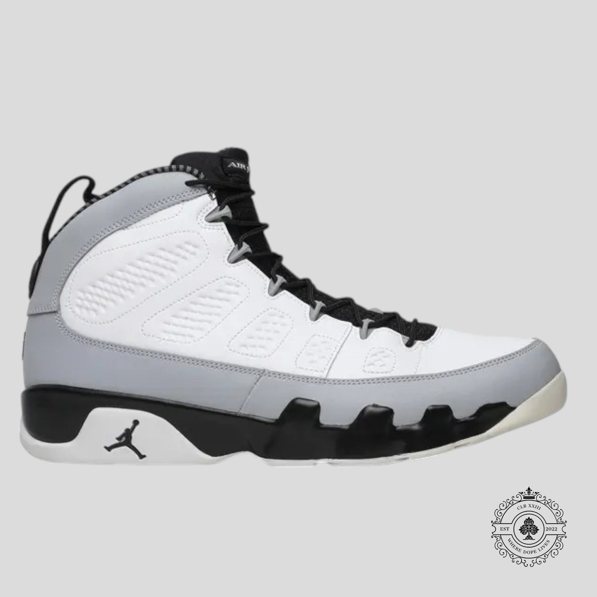 Air Jordan 9 Retro Barons