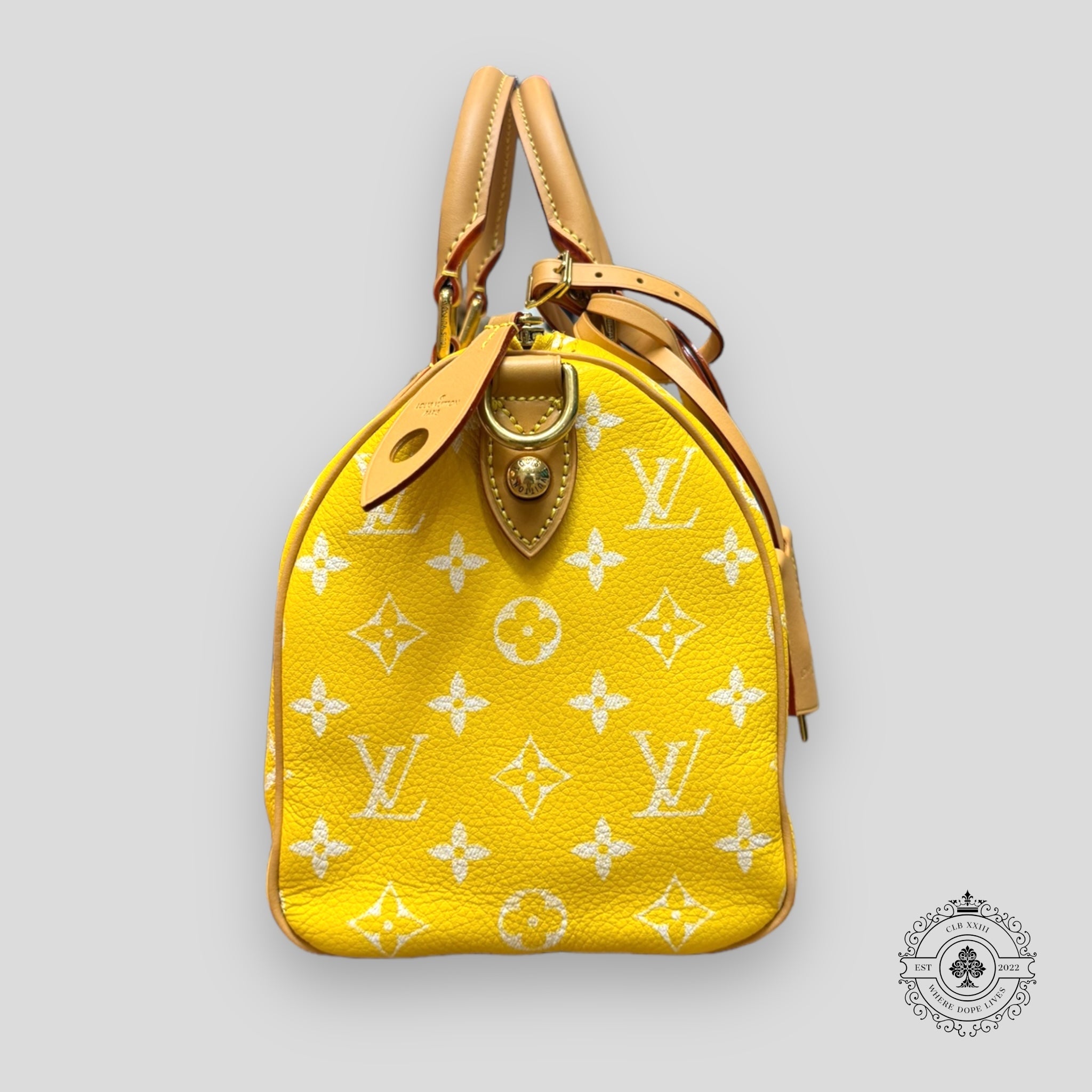 Louis Vuitton Speedy P9 Bandoulière 25 in Yellow