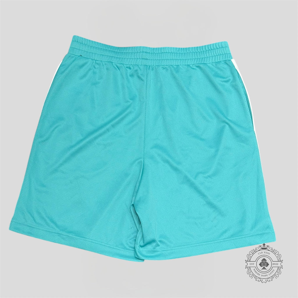 Louis Vuitton Sport Shorts in Turquoise