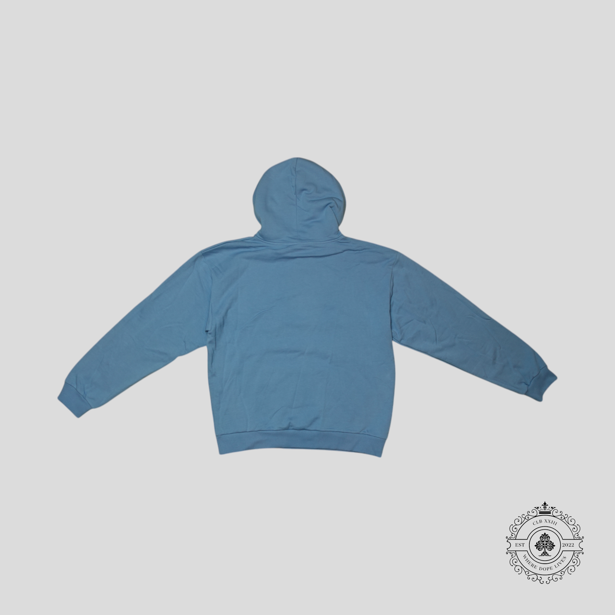 Celine Homme Logo Hoodie in Blue