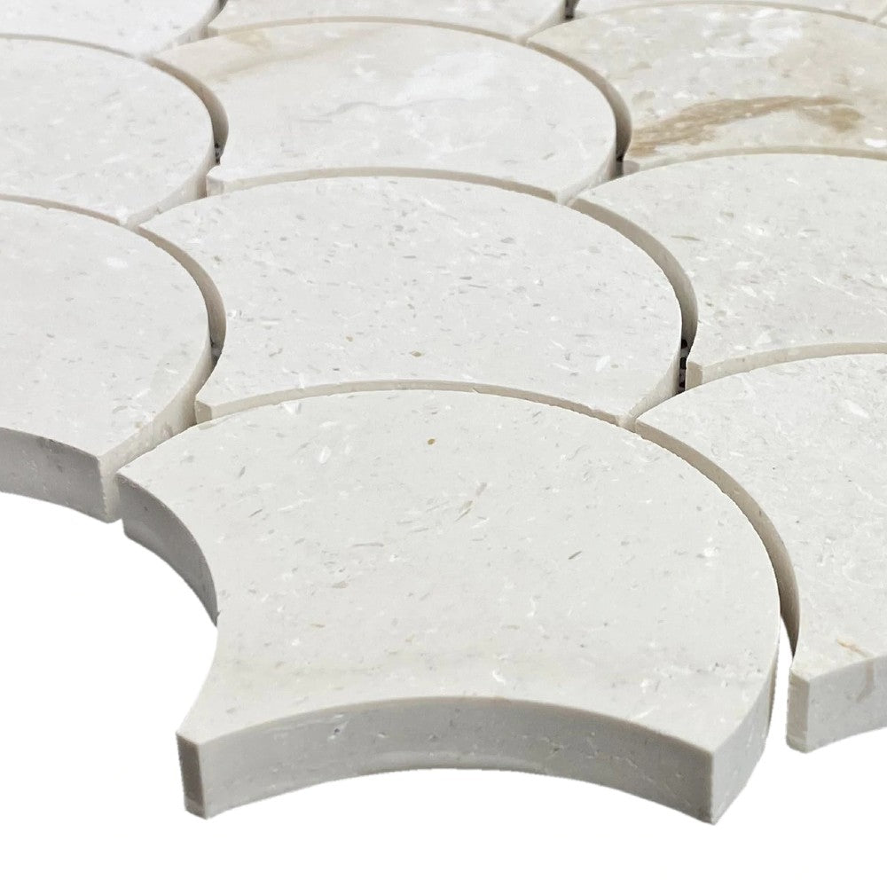 Shell Stone Limestone Laguna Design on 12" x 12" Mesh Mosaic Tile