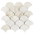 Shell Stone Limestone Laguna Design on 12" x 12" Mesh Mosaic Tile