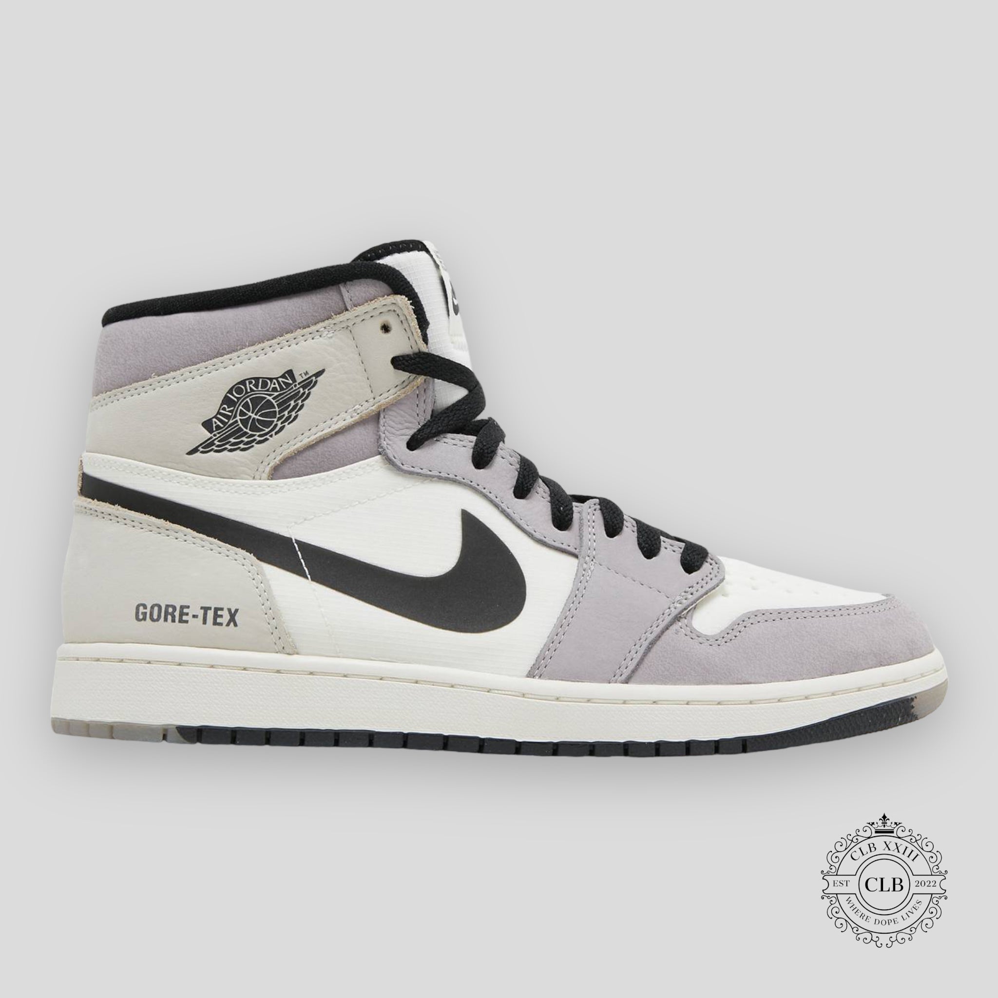 AIR JORDAN 1 RETRO HIGH X GORE-TEX "LIGHT BONE"