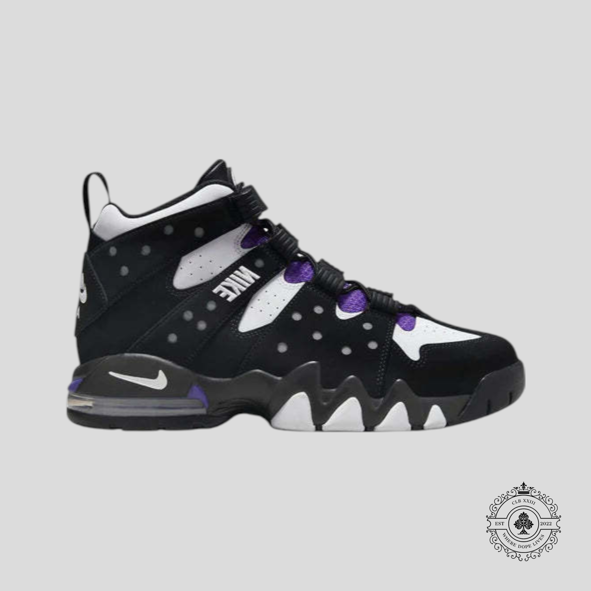 Nike Air Max 2 CB '94 OG Black White Purple (2023)