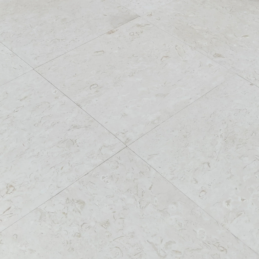 Shell Stone White Limestone Tiles Floor and Wall Tile