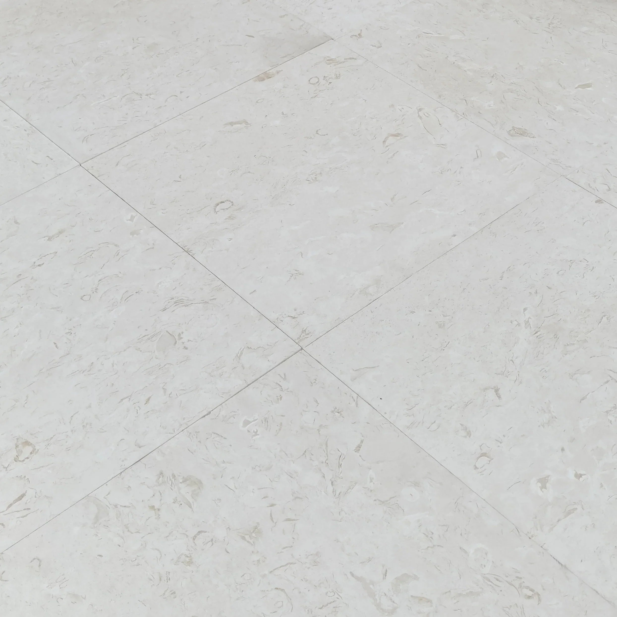 Shell Stone White Limestone Tiles Floor and Wall Tile